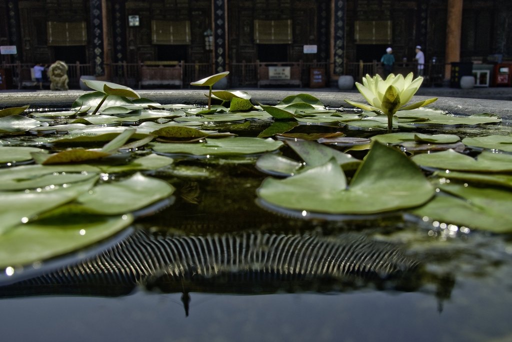 Great Mosque in Xian - China (pool)